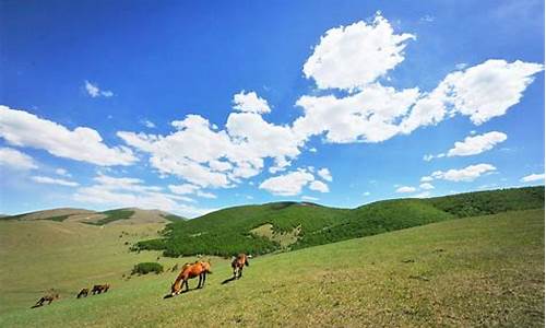 丰宁坝上草原旅游攻略3天_丰宁坝上草原旅