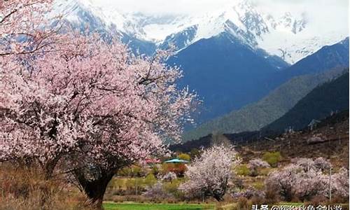 林芝海拔多少米高_林芝景点海拔多少