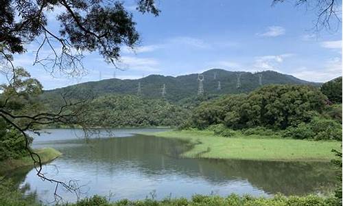 宜昌余海波,厦门天竺山森林公园缆车