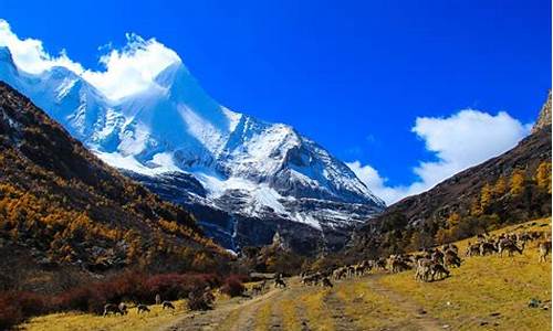 8月稻城亚丁旅游攻略,稻城亚丁8月份的景区图片