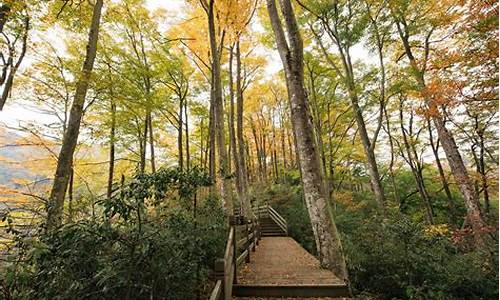 光雾山旅游攻略自驾游路线最新,光雾山风景区旅游攻略 自驾