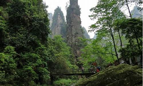 武汉到张家界旅游攻略,武汉到张家界旅游攻略自驾游