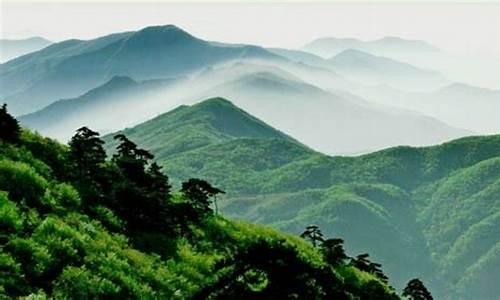 天目山旅游景点攻略_天目山旅游攻略最新路线