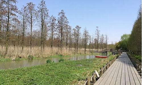 郊野公园几点闭园_郊野公园森林公园