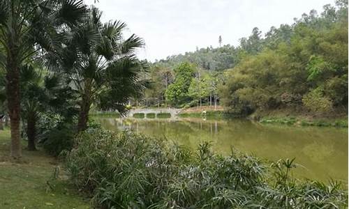 龙岗龙城公园在哪_龙岗 龙城公园