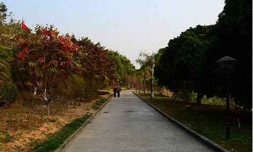 广州龙头山风景区营业时间_广州龙头山森林公园游玩攻略一日游