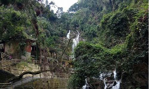 鼎湖山旅游攻略自驾游,鼎湖山 一日游攻略