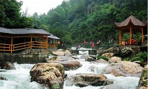 临安天目山旅游攻略一日游多少钱,临安天目山景点