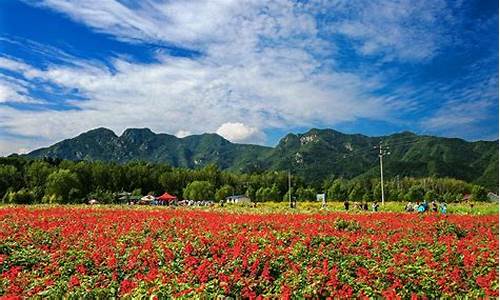 延庆花海自驾路线_延庆3月自驾游赏花