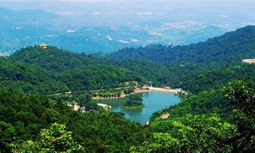 广州帽峰山森林公园门票,广州帽峰山游玩攻略