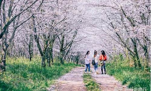 春季旅游攻略景点推荐一下,春季游玩攻略