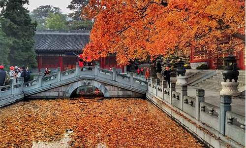 北京香山公园门票预约_北京香山公园旅游攻略一日游