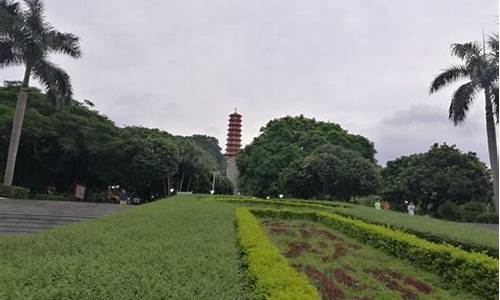 红花山公园花海在哪,红花山公园开放时间