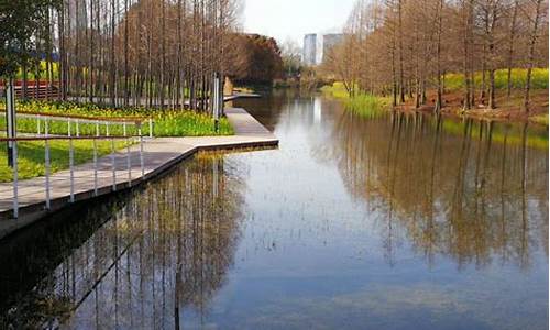上海湿地公园介绍,上海原生态湿地公园