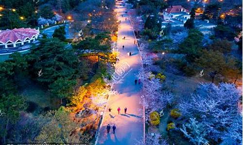 青岛中山公园停车场_青岛中山公园停车场电话