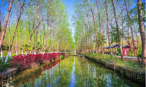 合肥滨湖湿地公园门票多少钱-合肥滨湖湿地森林公园门票价格