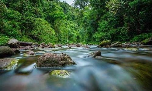 湄公河水质_原始森林公园湄公河水底世界