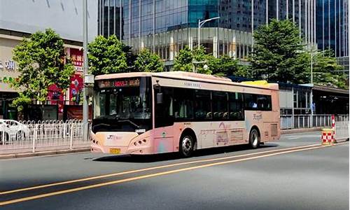 广州草暖公园公交站有哪些公交车_广州草暖公园公交站有哪些公交