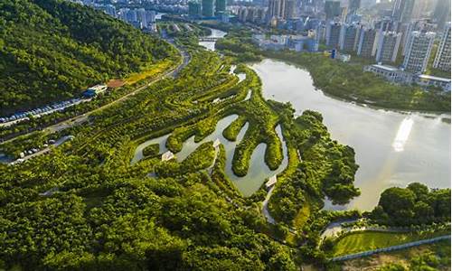 重庆红树林公园,重庆渝北红树林