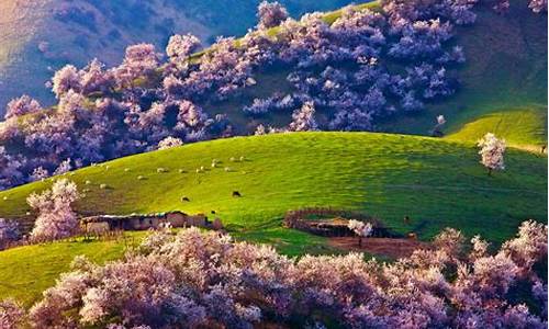 新疆春季美景,新疆春季旅游攻略景点大全