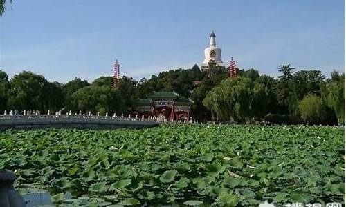 2014北京公园游览年票-2021北京公园游览年票